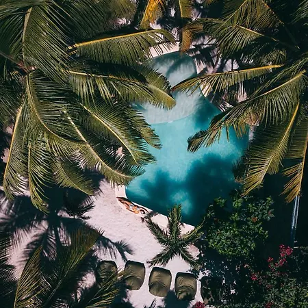 Zorba Tulum Beach Homes