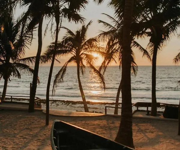Zorba Homes Tulum