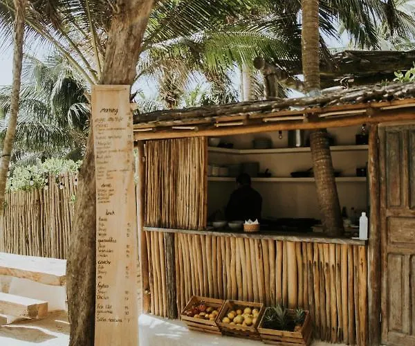 Zorba Homes * Tulum