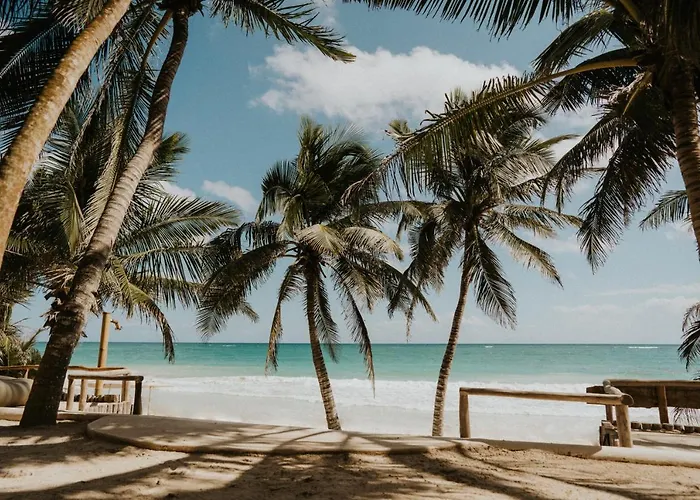 Zorba Homes Pousada Tulum