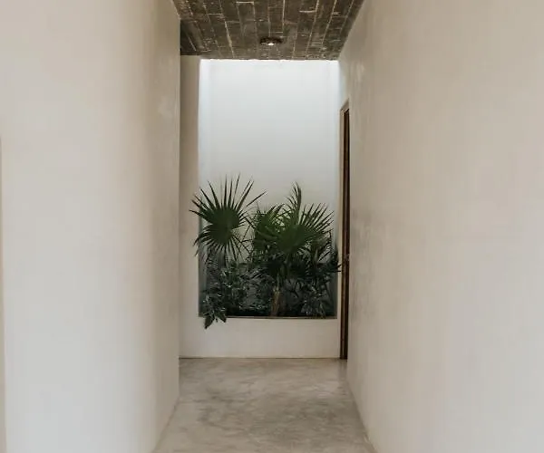 Zorba Homes Pousada Tulum