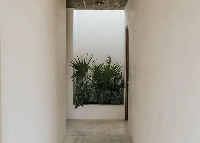 Pousada Zorba Homes
